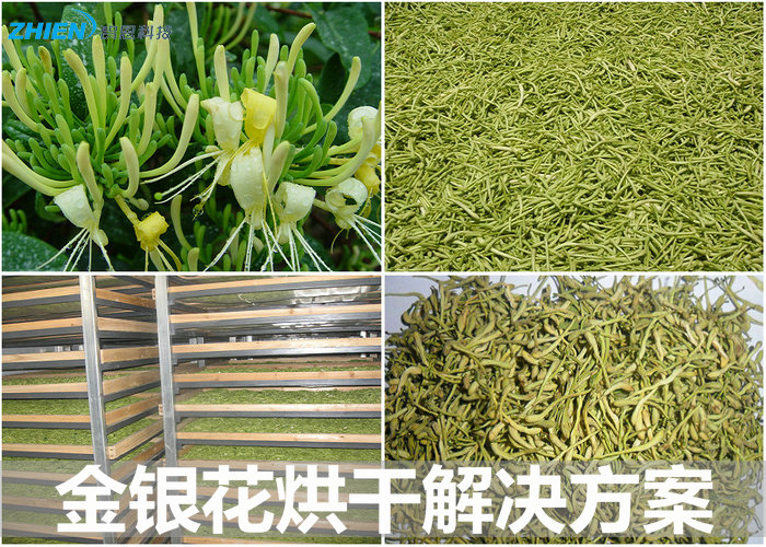 金银花烘干方案 金银花烘干工艺 金银花烘干机价格-亿万28厂家