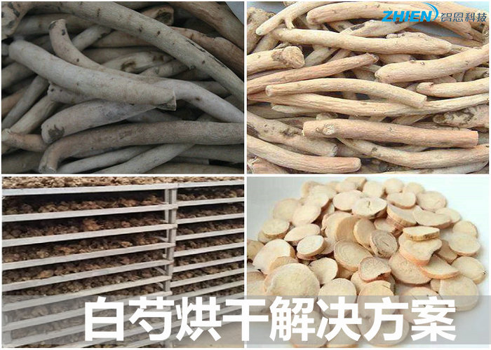 白芍烘干机 白芍烘干房 白芍烘干工艺及解决方案-亿万28厂家