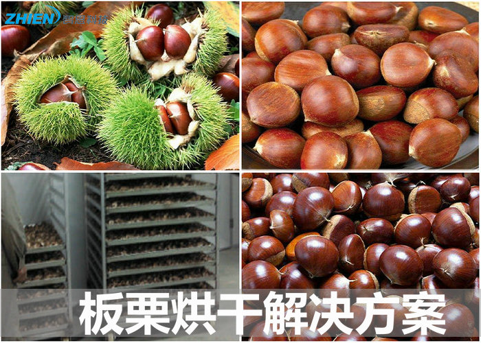 板栗烘干机 板栗烘干房 板栗烘干工艺及解决方案-亿万28厂家