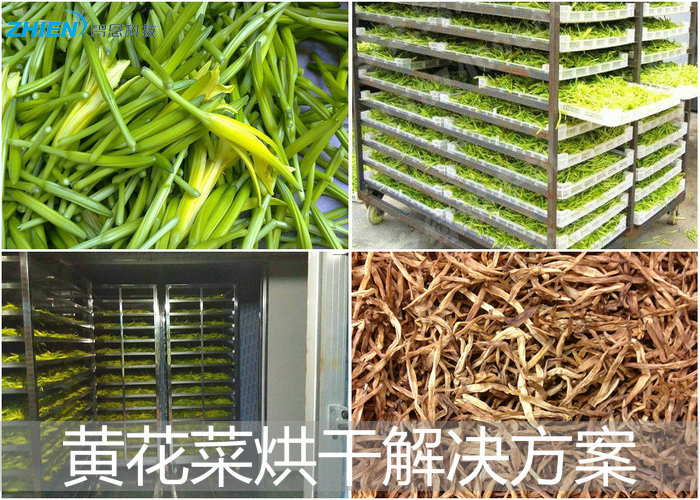 黄花菜烘干工艺解决方案